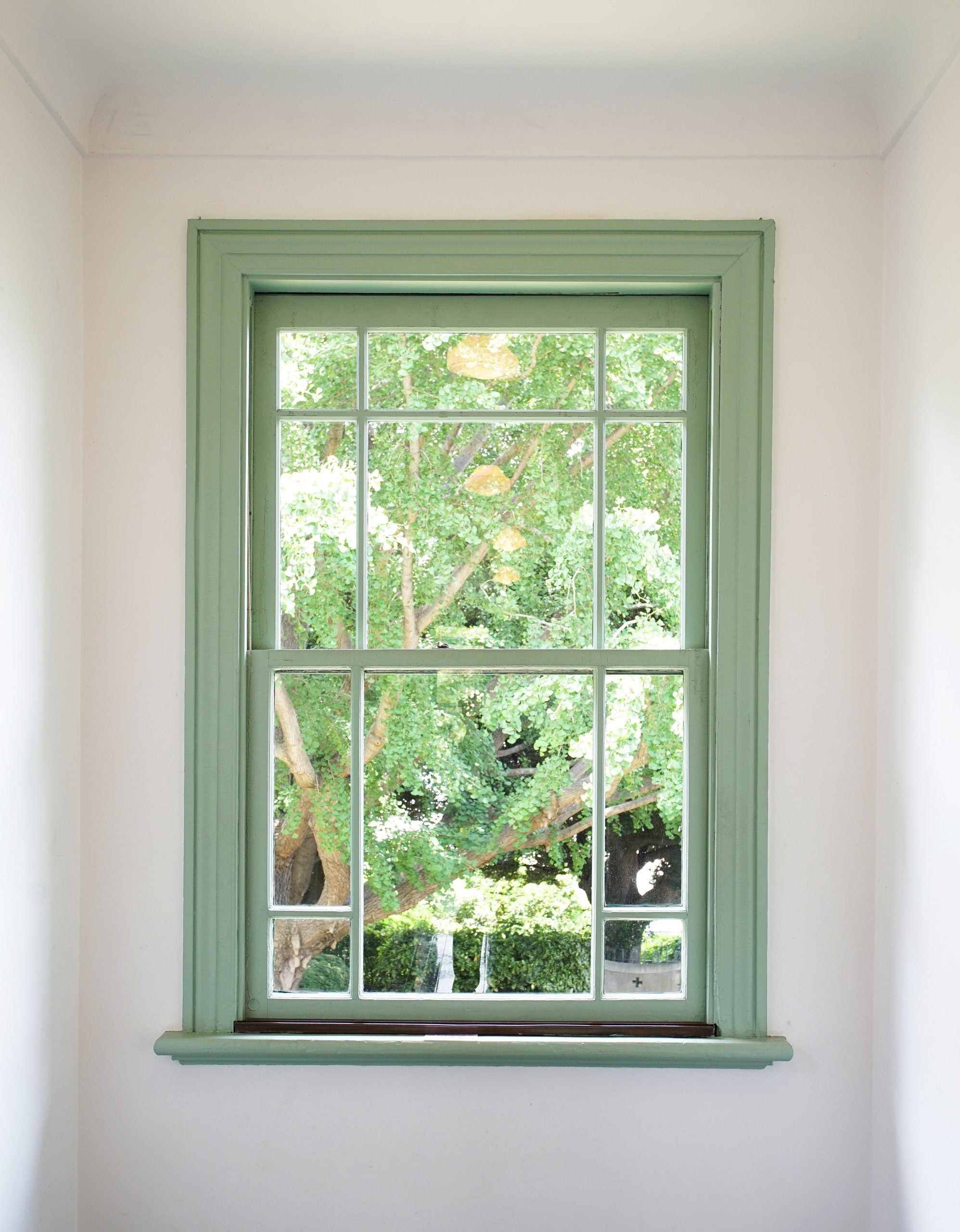 Double Hung Windows